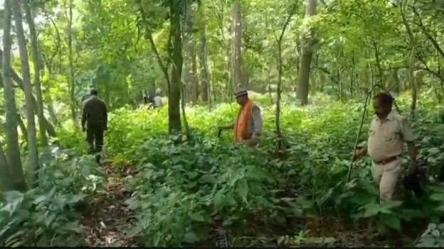 Forest Department