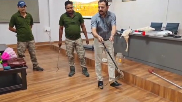 training