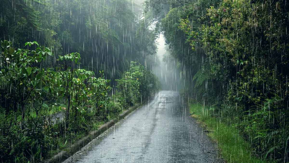 monsoon