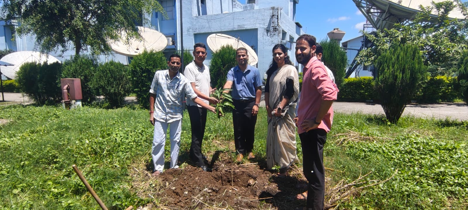 plantation