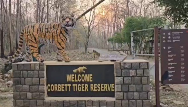 Corbett