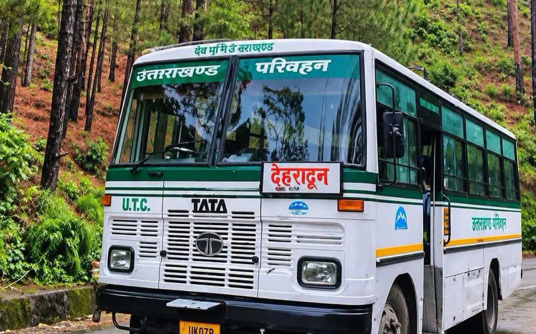 Bus