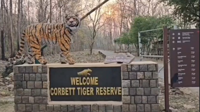 Corbett