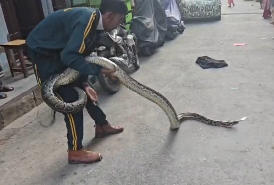 python
