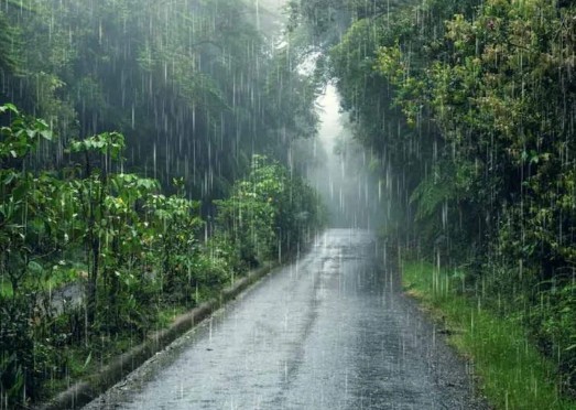 Monsoon