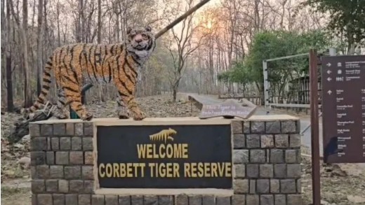 Corbett